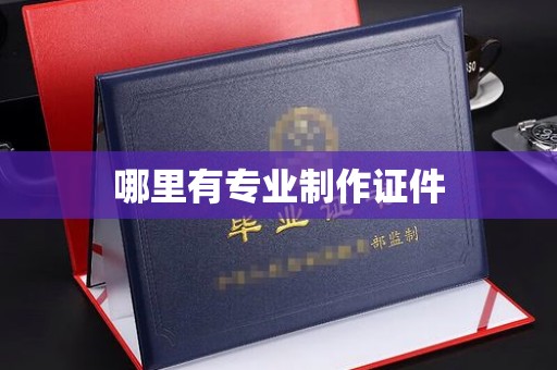 白云哪里有专业制作证件